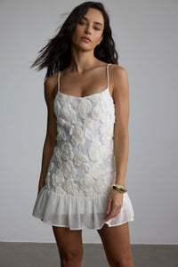 BEVERLY Floral Applique Plissé Chiffon Mini Dress